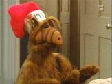 alf2.jpg (6952 Byte)