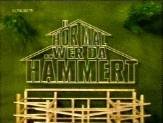 homeimprovement0.jpg (14230 Byte)